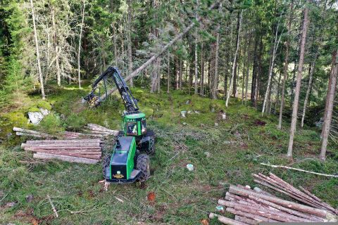 achat de bois pas chère en creuse
