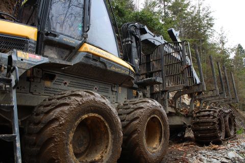 débardage de bois en creuse
