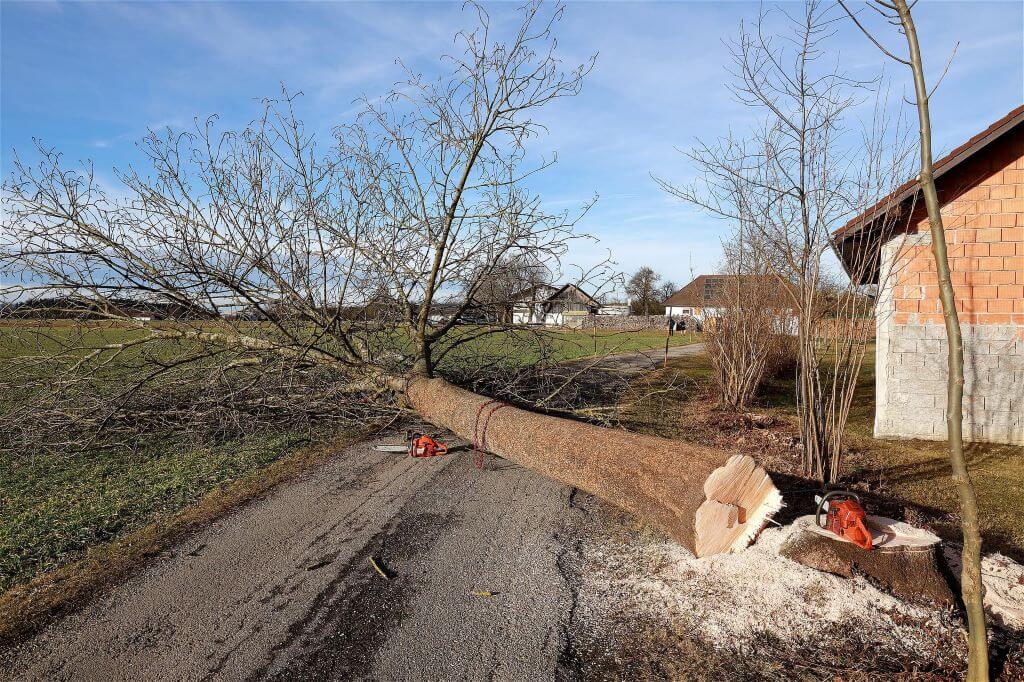 cablage arbre